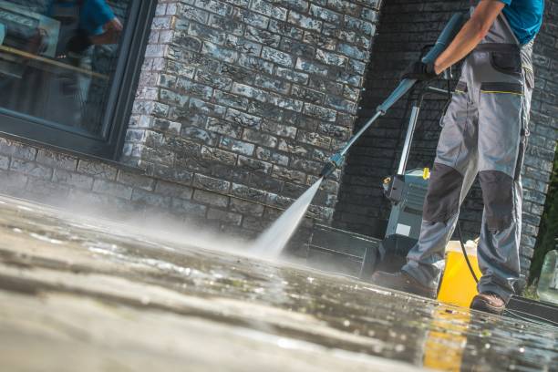 Best Dumpster Area Cleaning  in Carrier Mls, IL